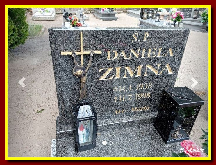Zimna D.